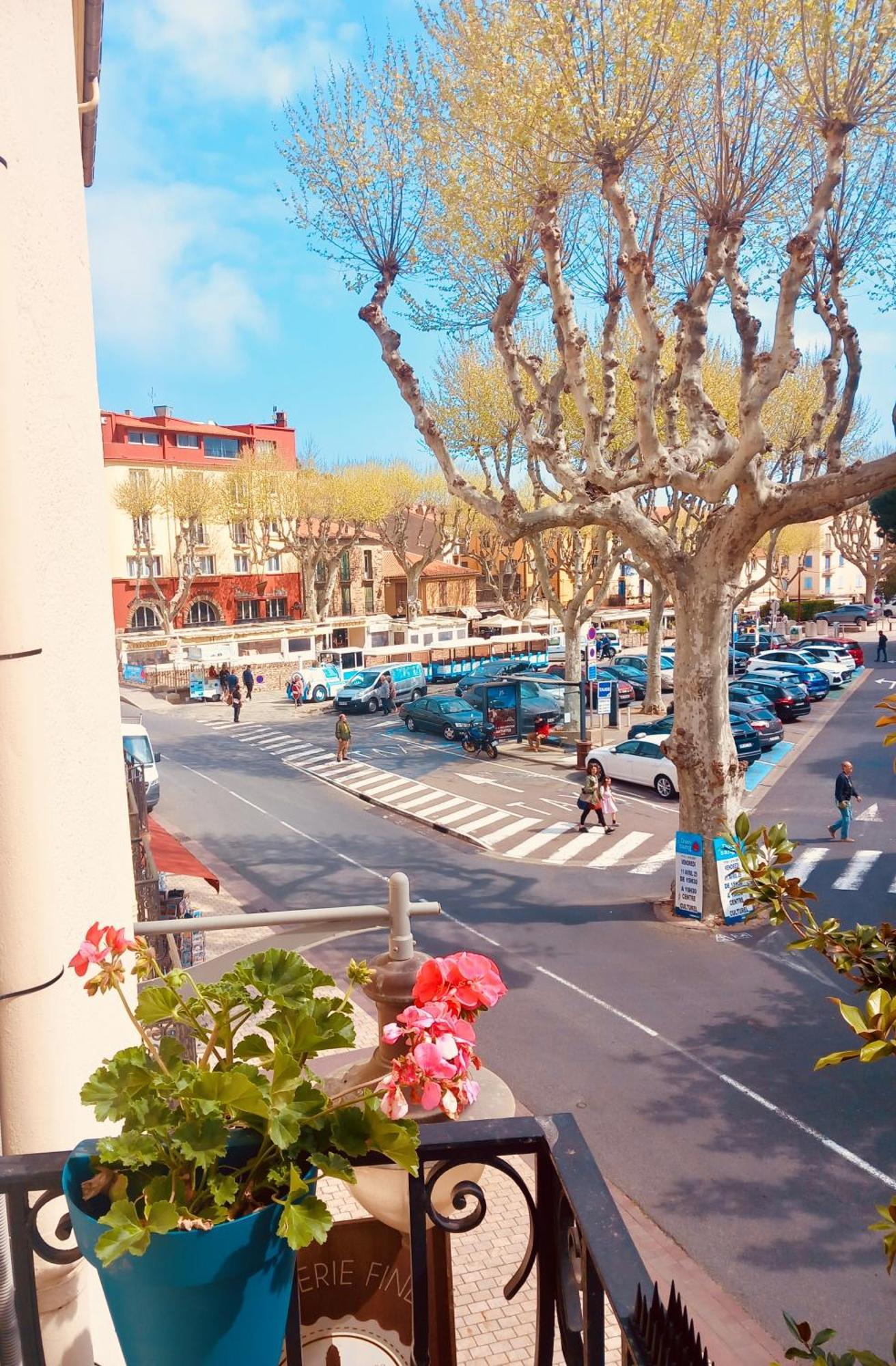 Chambres Rue De La Republique كولِيورْ المظهر الخارجي الصورة